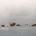 Reliable pest and animal control