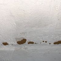 Reliable pest and animal control ico