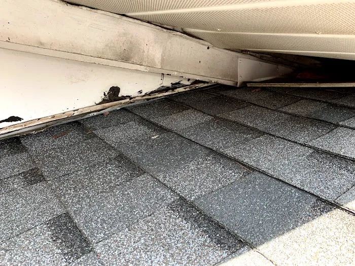 Reliable pest and animal control Picture 6