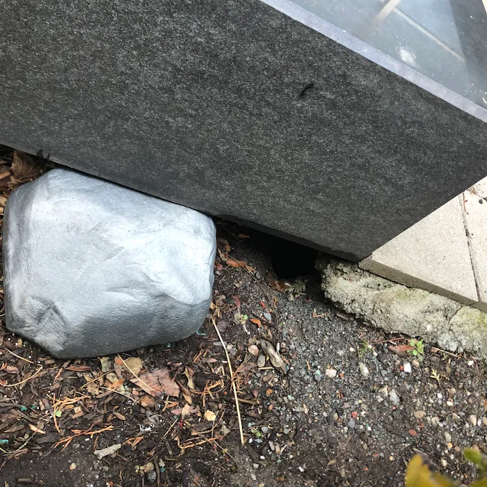 Get'm Pest Control Exterminator Paterson Picture 5