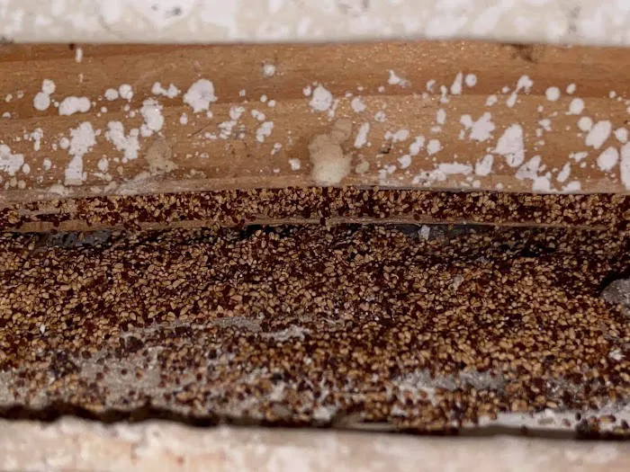 Get'm Pest Control Exterminator Paterson Picture 3