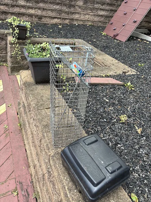 Excel Pest Services Picture 4