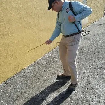 Best Pest Pro Picture 3