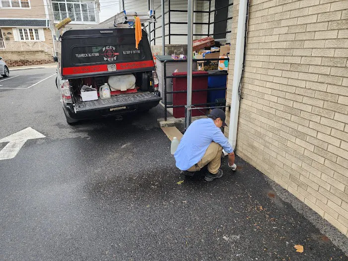 Best Pest Pro Picture 2