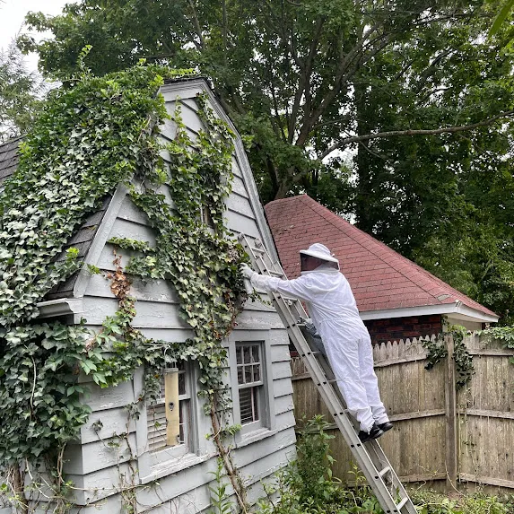 Reliable Termite Pest and Animal Control LLc Picture 10