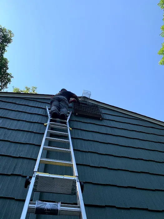 Reliable Termite Pest and Animal Control LLc Picture 6