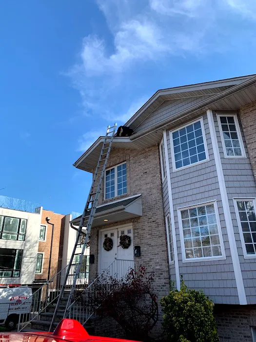 Reliable Termite Pest and Animal Control LLc Picture 5