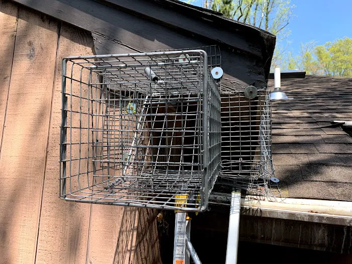 Reliable Termite Pest and Animal Control LLc Picture 1