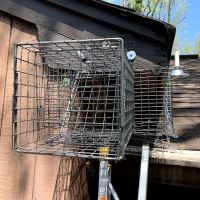 Reliable Termite Pest and Animal Control LLc ico