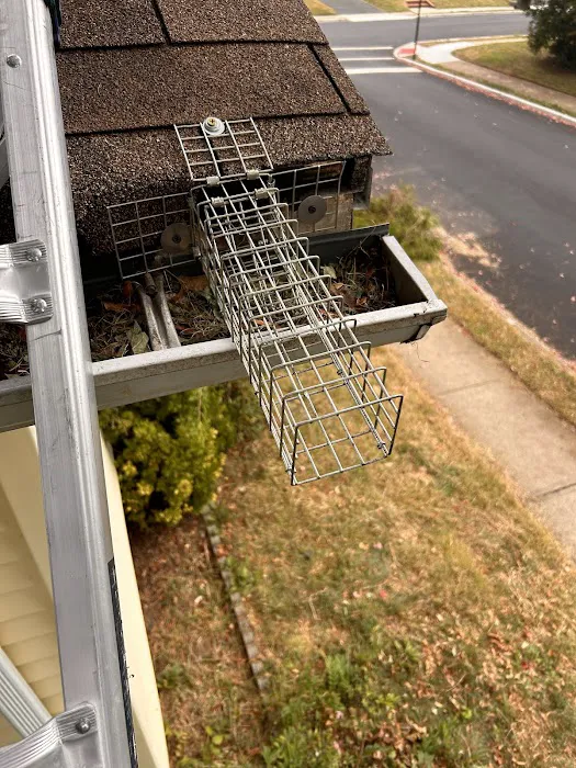 Clearview Pest Solutions inc. Picture 2