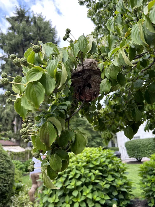 Clearview Pest Solutions inc. Picture 6