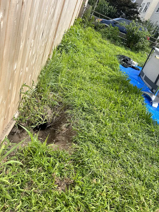 Clearview Pest Solutions inc. Picture 1