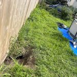 Clearview Pest Solutions inc.