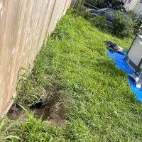 Clearview Pest Solutions inc. ico