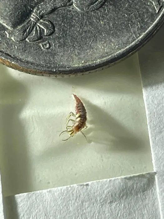 Get'm Pest Control & Exterminator in NJ Picture 3