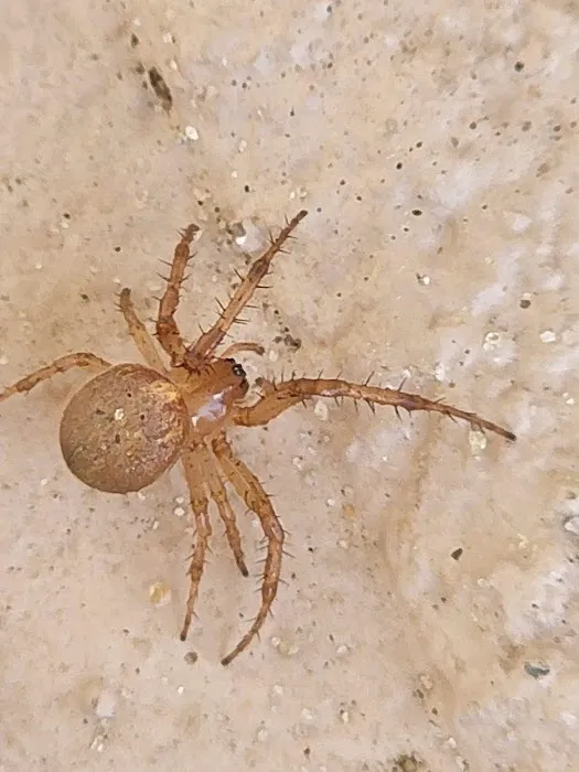 Get'm Pest Control & Exterminator in NJ Picture 2