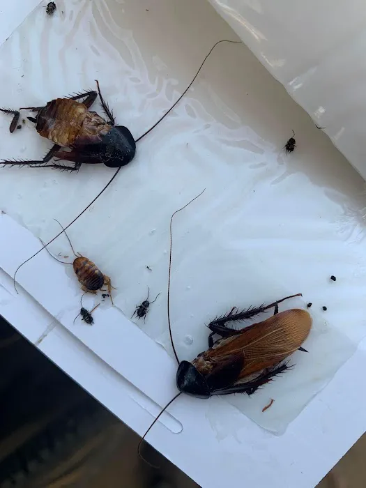 Get'm Pest Control & Exterminator in NJ Picture 1