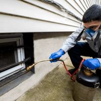 Wharton Exterminating Services ico