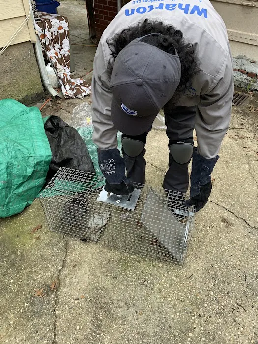 Wharton Exterminating Services Picture 6