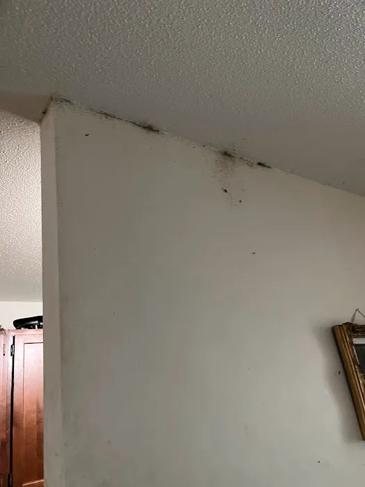 Ezekial Pest Control Picture 9