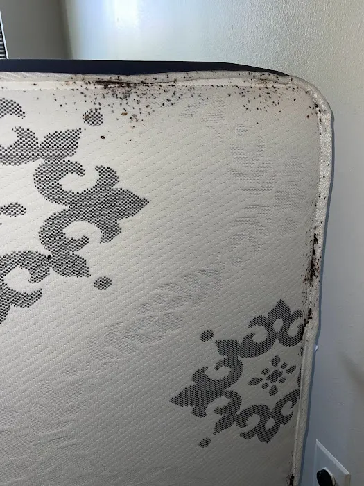 Ezekial Pest Control Picture 8