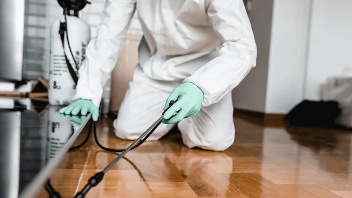 Pied Piper Pest Control Picture 6