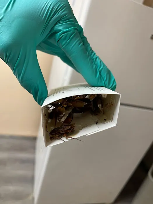 Fresh Touch Pest Management Picture 1