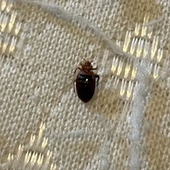 Fresh Touch Pest Management Picture 3