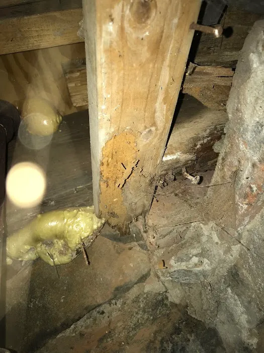 Inter-County Exterminators, Inc. Picture 1