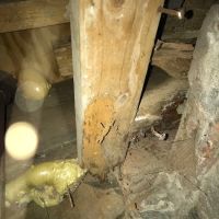 Inter-County Exterminators, Inc. ico