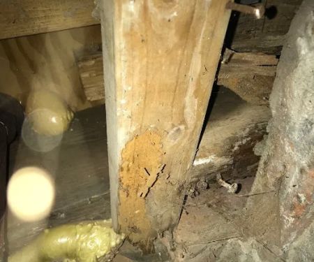 Inter-County Exterminators, Inc.