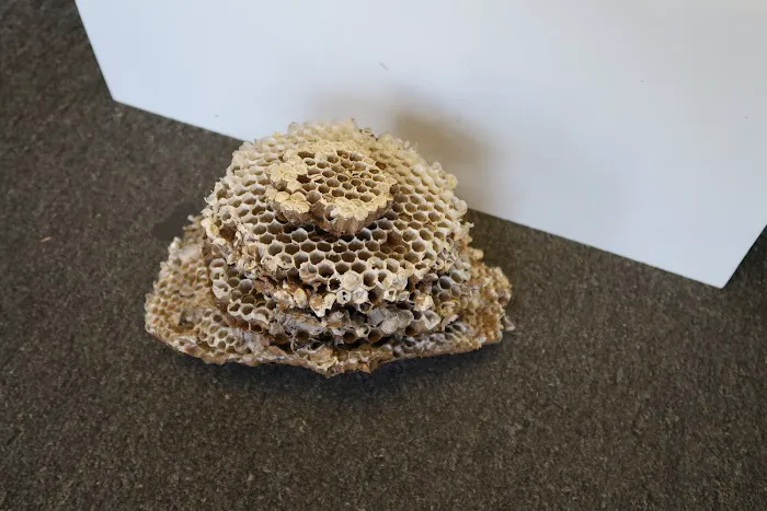 Inter-County Exterminators, Inc. Picture 5