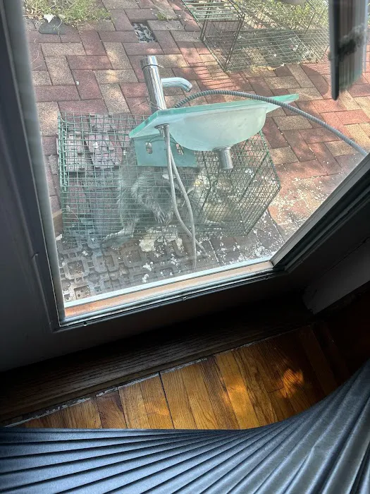 Ecofriendly USA Pest Control Inc. Picture 2