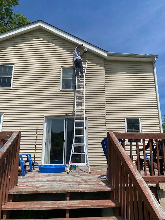 Ecofriendly USA Pest Control Inc. Picture 3