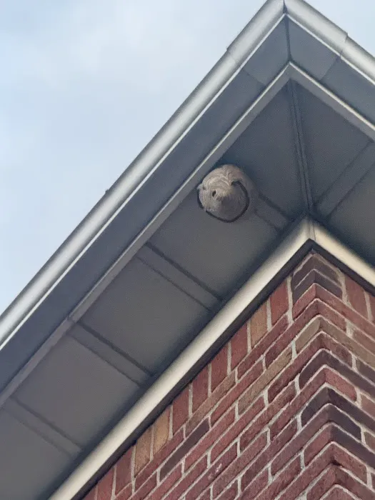 RS Pest Control Picture 2