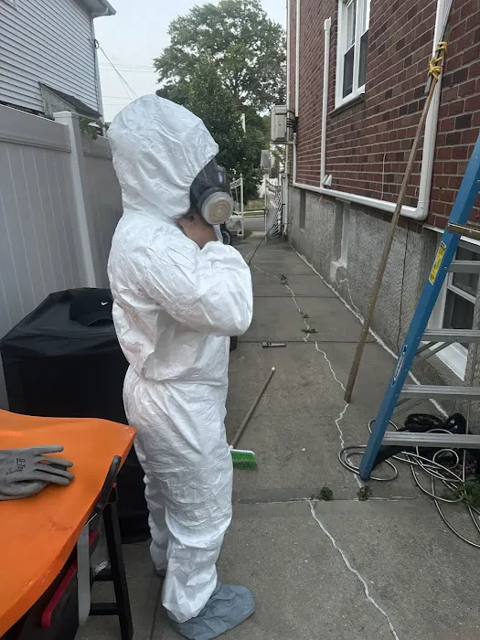 RS Pest Control Picture 1