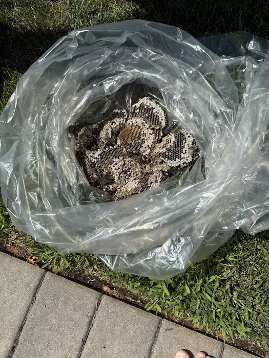 GoSafe Pest Control LLC Picture 1