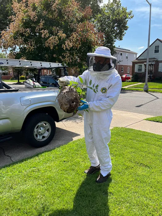 GoSafe Pest Control LLC Picture 8