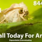 Dependable Exterminating Co., Inc.