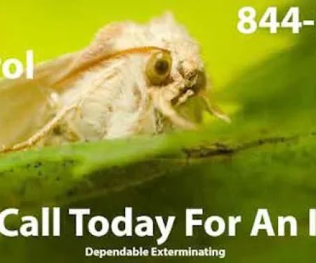 Dependable Exterminating Co., Inc.