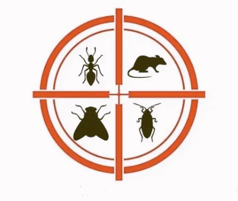 A and E Safeway Systems Pest Control Inc. Picture 6