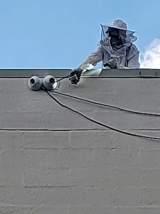 Eco Wide Pest Control ( 친 환경 소독 회사 ) Picture 1