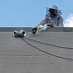 Eco Wide Pest Control ( 친 환경 소독 회사 )