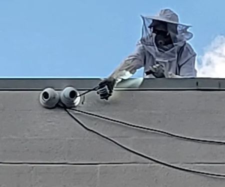 Eco Wide Pest Control ( 친 환경 소독 회사 )