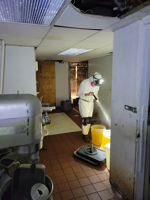 Eco Wide Pest Control ( 친 환경 소독 회사 ) Picture 9