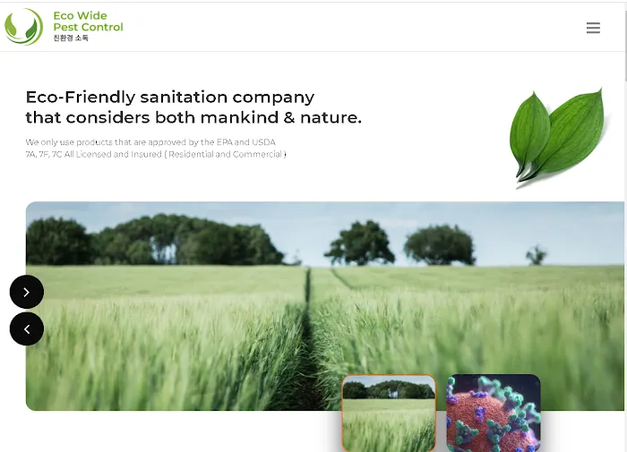 Eco Wide Pest Control ( 친 환경 소독 회사 ) Picture 5