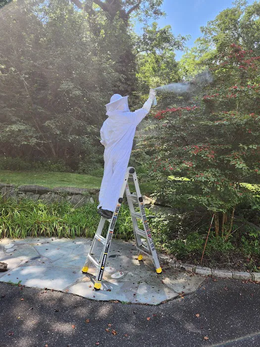 Eco Wide Pest Control ( 친 환경 소독 회사 ) Picture 6