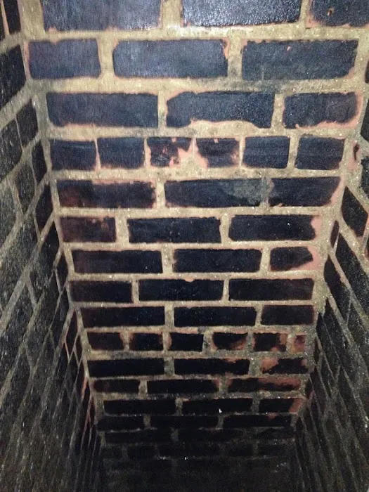 Dial A Bug Pest Control Picture 9