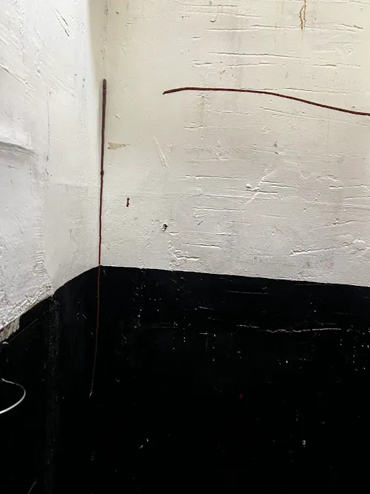 Dial A Bug Pest Control Picture 5