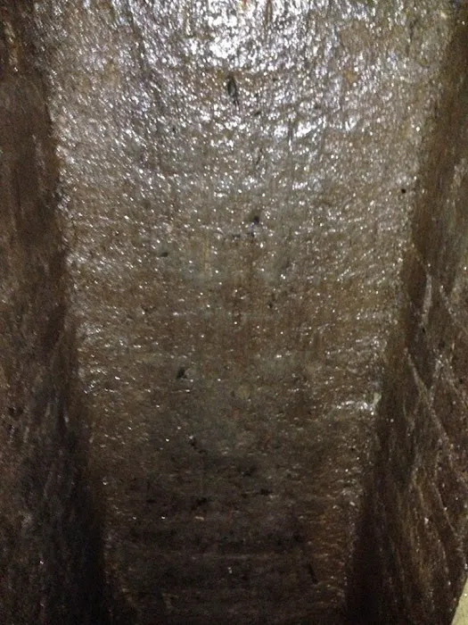 Dial A Bug Pest Control Picture 3